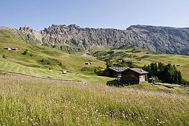 Italien, Blick auf die Seiser Alm, Almwiese und Almhütten, im Hintergrund die Rosszähne in Südtirol - UMF000406