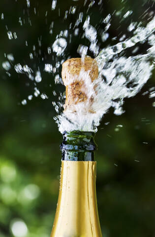 Geöffnete Champagnerflasche mit fliegendem Korken, lizenzfreies Stockfoto