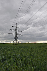 Deutschland, Bayern, Blick auf Strommast mit Maisfeld - AXF000242