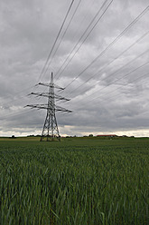 Germany, Bavaria, View of power pole with corn field - AXF000242