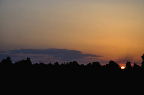 Deutschland, Bayern, Silhouette von Büschen bei Sonnenuntergang, lizenzfreies Stockfoto