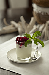 Glass of cream with raspberry and stevia, close up - KRF000021