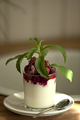 Glass of cream with raspberry and stevia, close up - KRF000022