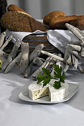 Teller mit Camembert-Käse und Petersilie, Brotkorb im Hintergrund - KRF000025