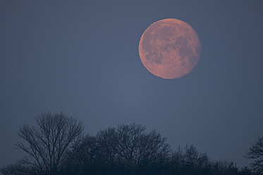 Deutschland, Bayern, Vollmond am Morgen - UMF000461