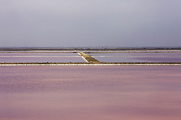 Südfrankreich, Camargue, Blick auf das Salzbecken - TLF000706