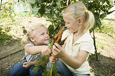 Germany, Bavaria, Girls gathering carrots in vegetable garden - RNF001012