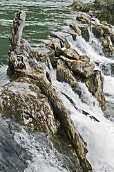 Schweiz, Schaffhausen, Blick auf den Rheinfall - MAEF004857