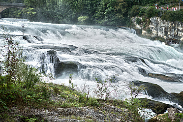 Schweiz, Schaffhausen, Blick auf den Rheinfall - MAEF004858