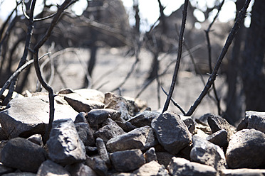 Spain, Rock pile with burned branches - MAEF004874