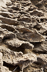 Spanien, Mallorca, Verwelkte Felsen am Cap de Ses Salines - MAEF004891