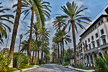 Spanien, Palma, Mallorca, Blick auf eine Gasse mit Palmen - MAEF004914