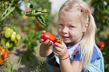 Deutschland, Bayern, Mädchen pflückt Tomaten im Garten - HSIYF000011