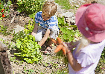 Deutschland, Bayern, Junge und Mädchen pflücken Gemüse im Garten - HSIYF000128