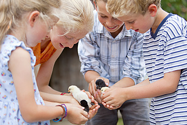 Germany, Bavaria, Group of children holding baby chicks - HSIYF000149