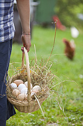 Deutschland, Bayern, Junge mit Korb voller Eier und Huhn auf Bauernhof - HSIYF000107