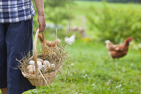 Deutschland, Bayern, Junge mit Korb voller Eier und Huhn auf Bauernhof - HSIYF000106