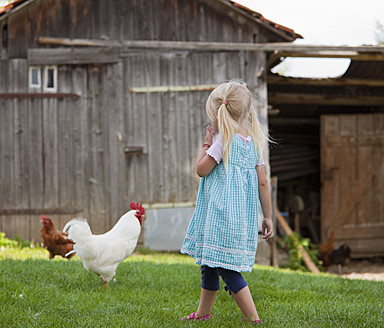 Deutschland, Bayern, Mädchen mit Huhn auf Bauernhof - HSIYF000105