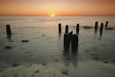 Deutschland, Holzsäulen an der Ostsee - FDF000010