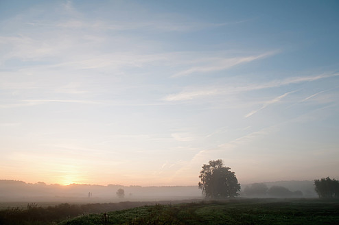 Deutschland, Brandenburg, Blick auf Sonnenaufgang mit Nebel - BFRF000082