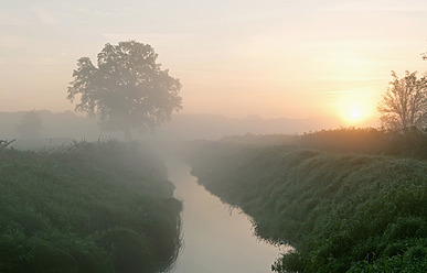 Deutschland, Brandenburg, Blick auf Fluss mit Nebel - BFRF000080