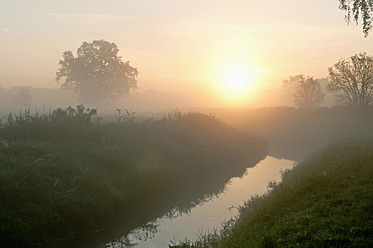 Deutschland, Brandenburg, Blick auf Fluss mit Nebel - BFRF000078