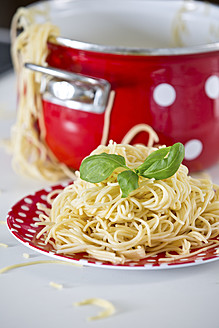 Deutschland, Teller mit Spaghetti und Basilikum, Pfanne im Hintergrund - RFF000077