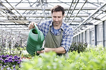 Germany, Bavaria, Munich, Mature man in greenhouse watering rocket plant - RREF000012