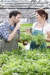 Germany, Bavaria, Munich, Mature man and woman in greenhouse, tasting rocket plant - RREF000083