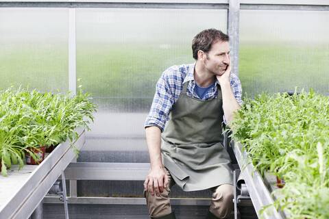 Germany, Bavaria, Munich, Mature man in greenhouse between rocket plant stock photo