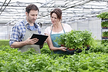 Germany, Bavaria, Munich, Mature man and woman with clip board in greenhouse - RREF000021