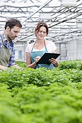 Germany, Bavaria, Munich, Mature man and woman with clip board in greenhouse - RREF000022