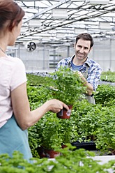 Germany, Bavaria, Munich, Mature man and woman in greenhouse between parsley plants - RREF000023