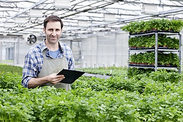 Germany, Bavaria, Munich, Mature man in greenhouse between parlsey plants with clip board - RREF000026