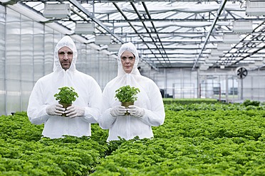 Germany, Bavaria, Munich, Scientists in greenhouse with parsley plant - RREF000031