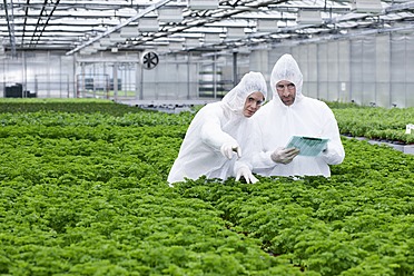 Germany, Bavaria, Munich, Scientists in greenhouse examining parsley plant - RREF000035