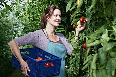 Deutschland, Bayern, München, Reife Frau erntet Tomaten im Gewächshaus - RREF000039