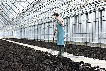 Deutschland, Bayern, München, Älterer Mann gräbt Erde mit Gartengabel im Gewächshaus - RREF000041