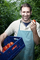 Deutschland, Bayern, München, Älterer Mann erntet Tomaten im Gewächshaus - RREF000045