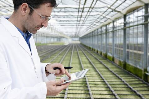 Deutschland, Bayern, München, Wissenschaftlerin im Gewächshaus mit digitalem Tablet, die ein Beet mit Setzlingen untersucht, lizenzfreies Stockfoto