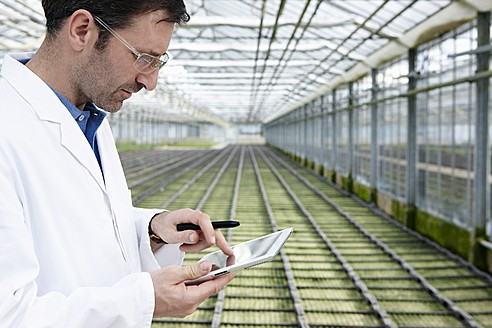 Deutschland, Bayern, München, Wissenschaftlerin im Gewächshaus mit digitalem Tablet, die ein Beet mit Setzlingen untersucht - RREF000053