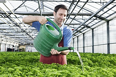 Germany, Bavaria, Munich, Mature man in greenhouse watering parsley plants - RREF000066