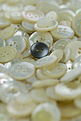 Variety of buttons, close up - ASF004640