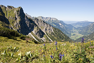 Deutschland, Bayern, Blick auf eine Bergwiese - UMF000484