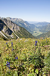 Deutschland, Bayern, Blick auf eine Bergwiese - UMF000485