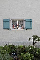 Deutschland, Baden Württemberg, Fenster mit Rollladen und Gartenzwergen - AXF000297
