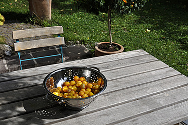 Germany, Baden Wuerttemberg, Yellow plums in colander on wooden table - AXF000308