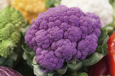 Germany, Bavaria, Close up of various vegetables - TCF002908