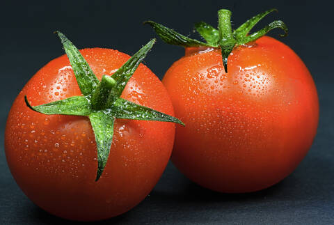 Nahaufnahme von nassen Tomaten, lizenzfreies Stockfoto