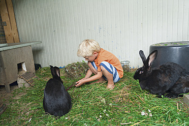 Deutschland, München, Junge füttert Kaninchen im Kinderlager mit Gras - TCF002963